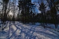 A Crossroads of Hiking Trails at Chapel Gorge Wisconsin Dells