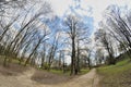 Crossroads path in a public park trees in a public park no leaves fisheye lens