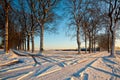 Crossroads of Snowy lanes