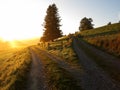 Crossroads by sunrise country road forks into two ways