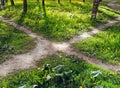 Crossroads of walking paths in the park among grass, flowers and tree trunks in the rays of the setting sun. Concept landscape Royalty Free Stock Photo