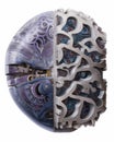 A crosssection of a brain filled with glorious swirls of purple blue and grey symbolizing the intricacies Psychology