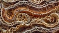 A crosssection of intestinal tissue with long wormlike s visible throughout the layers. The s are tightly coiled and Royalty Free Stock Photo