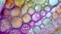 A crosssection of a plant cells vacuoles the large storage organelles that give plant cells their distinctive shape. The