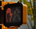 Crosswalk sign Royalty Free Stock Photo