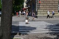 Crosswalk in the Ukrainian city of Cherkassy on a summer day Royalty Free Stock Photo