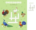 Crossword puzzle in English with birds. Set of cute poultry.