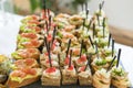 Crostini with different toppings on wooden background. Delicious appetizers. Front view. Gourmet appetizers: caviar, venison, tuna