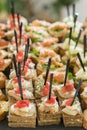 Crostini with different toppings on wooden background. Delicious appetizers. Front view. Gourmet appetizers: caviar, venison, tuna