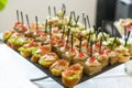 Crostini with different toppings on wooden background. Delicious appetizers. Front view. Gourmet appetizers: caviar, venison, tuna