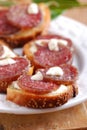 Crostini with salami Royalty Free Stock Photo