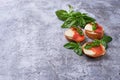 Crostini with salmon, mozarella, tomato and basil Royalty Free Stock Photo