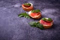 Crostini with salmon, mozarella, tomato and basil Royalty Free Stock Photo