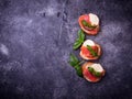 Crostini with salmon, mozarella, tomato and basil Royalty Free Stock Photo