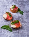 Crostini with salmon, mozarella, tomato and basil