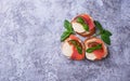 Crostini with salmon, mozarella, tomato and basil Royalty Free Stock Photo