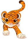 Crouching baby tiger Royalty Free Stock Photo