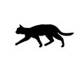 Crouching cat silhouette. Sneak up on the target. Predator on the hunt Royalty Free Stock Photo