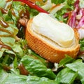 Crouton with goat cheese on green lettuche Royalty Free Stock Photo