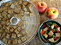 Croutons on dehydrator tray apples salad edible garnish