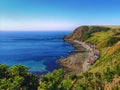 Crovie Royalty Free Stock Photo