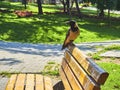 A crow on a bench of Dogancilar Park. Istanbul, Turkey.