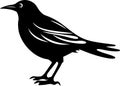 Crow - black and white isolated icon - vector illustration Royalty Free Stock Photo