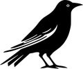 Crow - black and white vector illustration Royalty Free Stock Photo