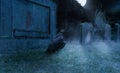 Crow on a cemetry in front of a gravestone with a ghost in background