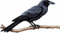 Simple Crow Clip Art With White Margins - Easy To Crop And White Background