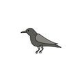 crow colored illustration. Element of Halloween for mobile concept and web apps. Colored crow illustration can be used for web and Royalty Free Stock Photo