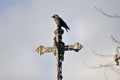 Crow on a Cross Royalty Free Stock Photo