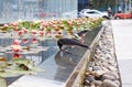 A crow drinks water from a pond
