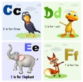 Crow ,Duck, Elephant and Fox with Alphabate Royalty Free Stock Photo