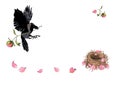 Crow flying with flower in beak. Mother bird builds her nest with peony petals, watercolor hand drawn.