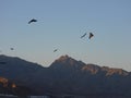A gang of Crows flying high over the mountains Royalty Free Stock Photo