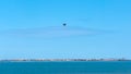 Crow flying over sea