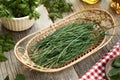 Crow garlic - wild edible plant harvested in winter, with cow parsley and nipplewort in the background Royalty Free Stock Photo