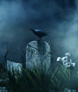 Crow on a gravestone Royalty Free Stock Photo