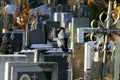 Crow on a gravestone