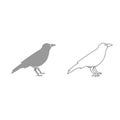 Crow grey set icon . Royalty Free Stock Photo