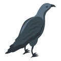 Crow icon isometric vector. Raven bird Royalty Free Stock Photo