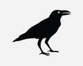 Crow Icon. Raven Wildlife Bird Animal Fly Stand Sit Nature Halloween Gothic. Black Silhouette Clipart Symbol Sign Vector EPS Royalty Free Stock Photo