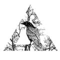 Crow isolated on white background. Old and wise bird. Raven Halloween character. Hand drawn sketch style v