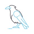 crow line icon, outline symbol, vector illustration, concept sign