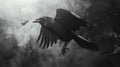 Crow and magic black atmosphere Royalty Free Stock Photo