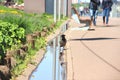 Crow near the puddle. spring in town. Big crow on a walk on a Sunny day