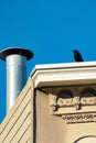 Crow nesting on flat roof building with beige stucco and cream wooden slat or pannel exterior with visible chimney pipe Royalty Free Stock Photo