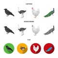 Crow, ostrich, chicken, peacock. Birds set collection icons in cartoon,flat,monochrome style vector symbol stock Royalty Free Stock Photo