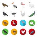 Crow, ostrich, chicken, peacock. Birds set collection icons in cartoon,flat style vector symbol stock illustration web. Royalty Free Stock Photo